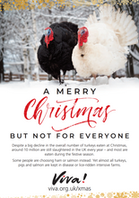A Very Merry Christmas But Not For Everyone Leaflets x50 Viva! Shop
