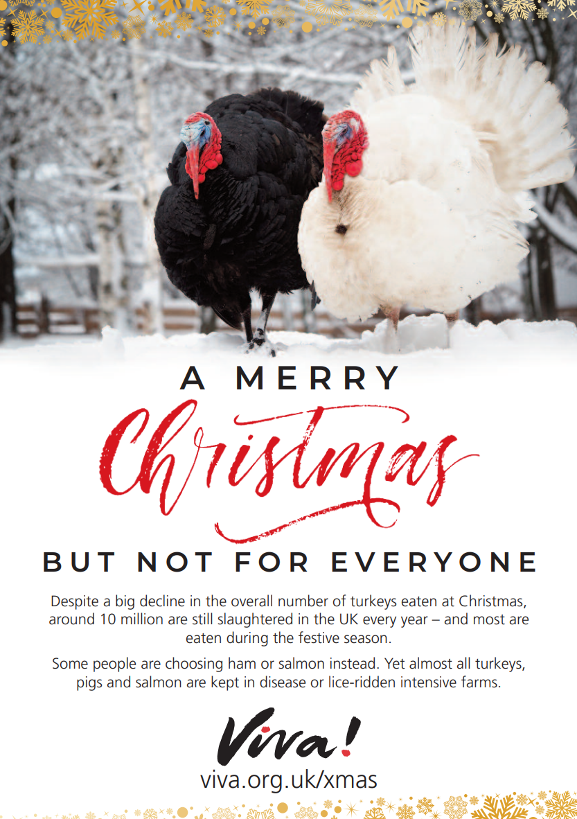 A Very Merry Christmas But Not For Everyone Leaflets x50 Viva! Shop