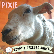 A close-up image of a sheep with the text 'Pixie' and 'ADOPT A RESCUED ANIMAL' across the bottom.