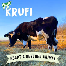 Adopt Krufi the Cow