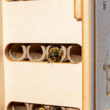 Beevive DIY Bee Hotel Kit Viva! Shop