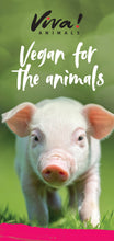 Viva! Animals Leaflets x 30 Viva! Shop