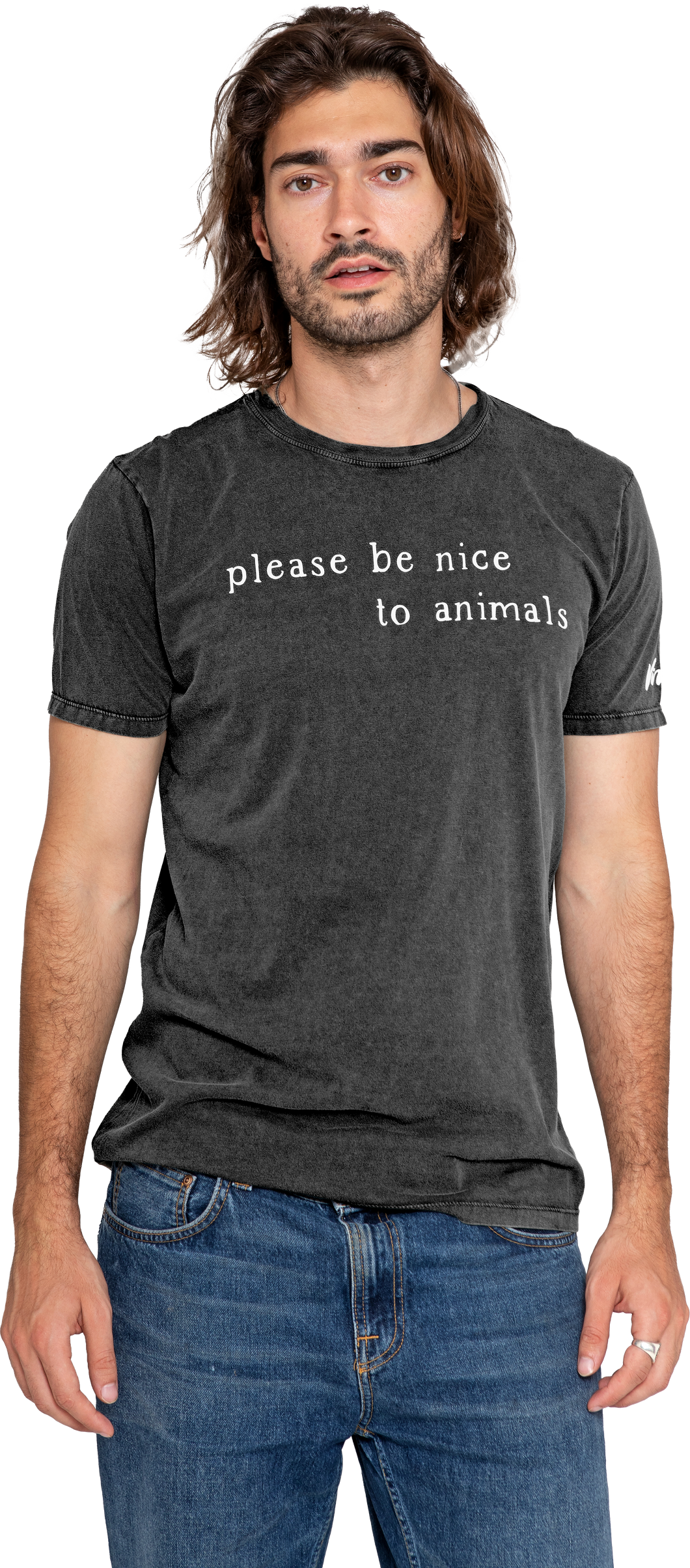 Please Be Nice to Animals Text Women's Rolled Sleeve Jersey Tee - Stone Washed Grey