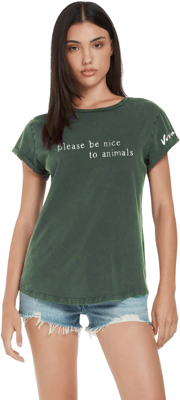 Please Be Nice to Animals Text Women's Rolled Sleeve Jersey Tee - Stone Wash Green