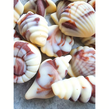 Taffy & Co Belgian Chocolate Shells