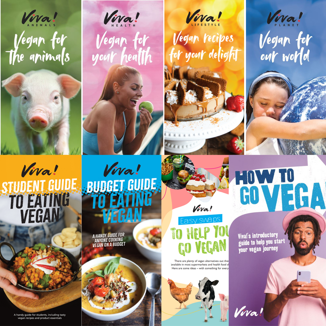 Teacher Leaflet Bundle