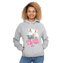 The Right To Live, Love And Be Free Unisex Classic Raglan Pullover Hoody - Melange Grey Viva! Shop