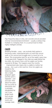 Viva! Animals Leaflets x 30 Viva! Shop