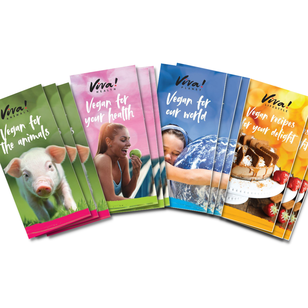Viva! Vegan Leaflets Stall Pack