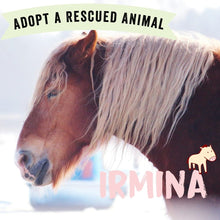 Adopt Irmina the Horse Viva! Shop