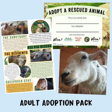 Adult Adoption Pack - Adopt Pixie the Sheep - Adoption Scheme - Viva! Shop