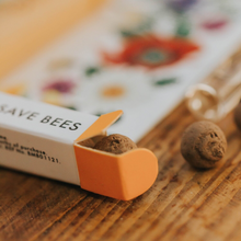 Beevive Bamboo Bee Revival Kit Viva! Shop