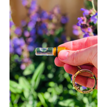 Beevive The Bee Revival Kit - Gold