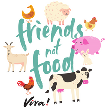Friends Not Food Unisex Pullover Hoody - Melange Grey Viva! Shop