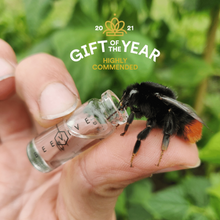 Beevive The Bee Revival Kit - Anthracite Grey Viva! Shop