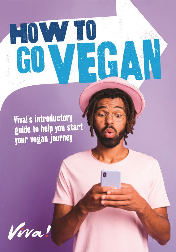 Viva! How To Go Vegan Leaflets x 30 Viva! Shop