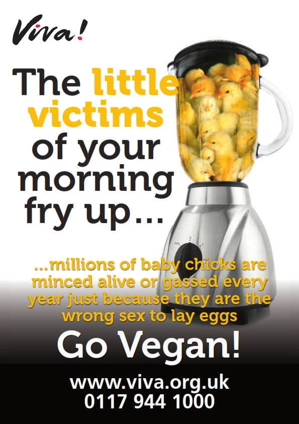 Little Victims A4 Poster Viva! Shop