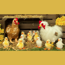 Living Nature Fluffy Chick Soft Toy Viva! Shop
