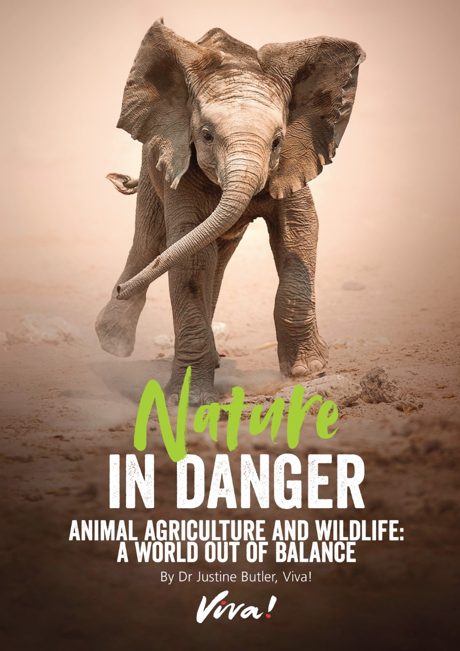 Nature In Danger Report Viva! Shop