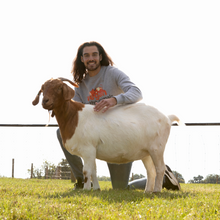 Vegan For The Animals Unisex Sweatshirt - Cow- Melange Grey Viva! Shop