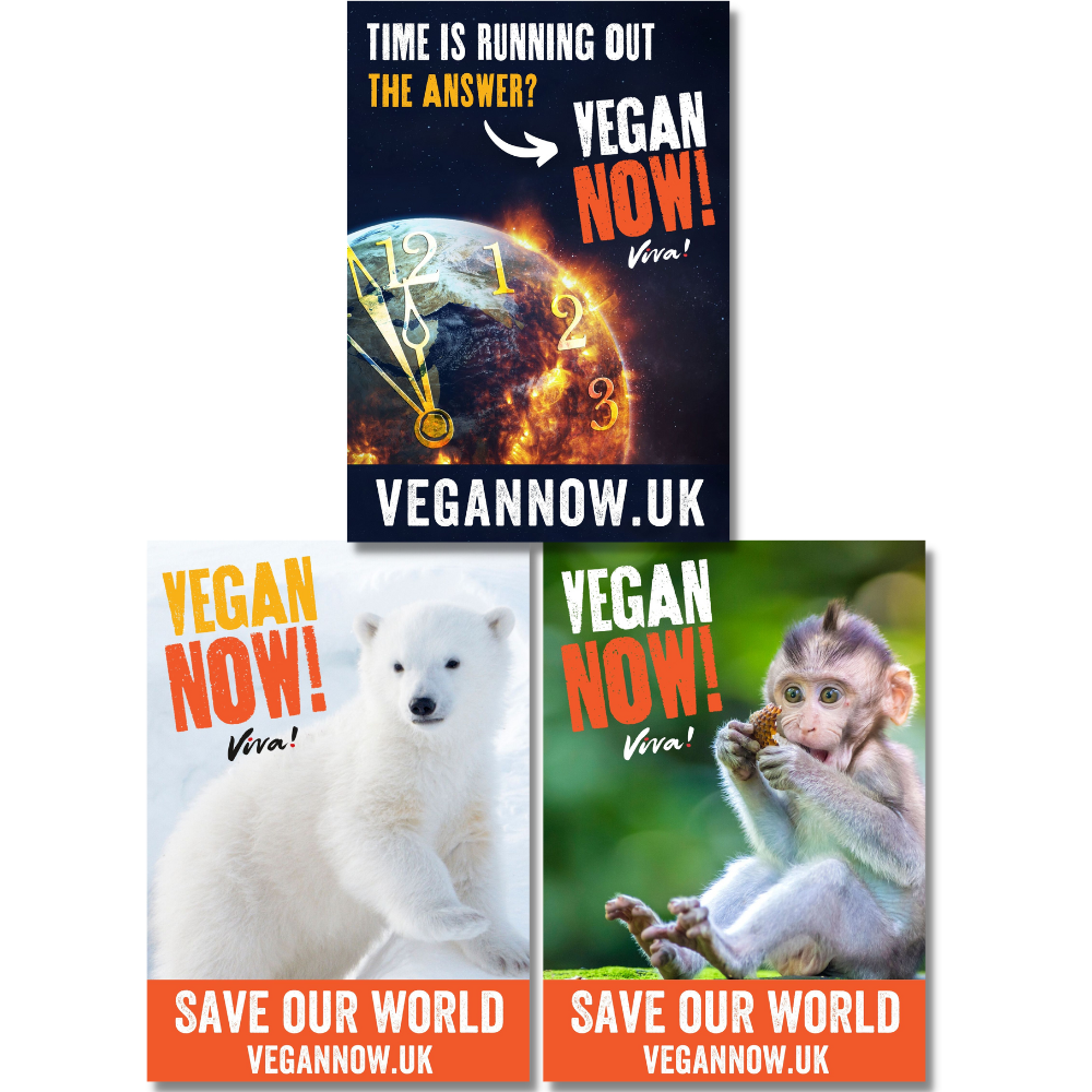 Vegan Now! Poster Set Viva! Shop