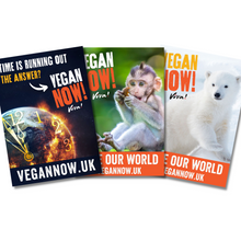 Vegan Now! Poster Set Viva! Shop