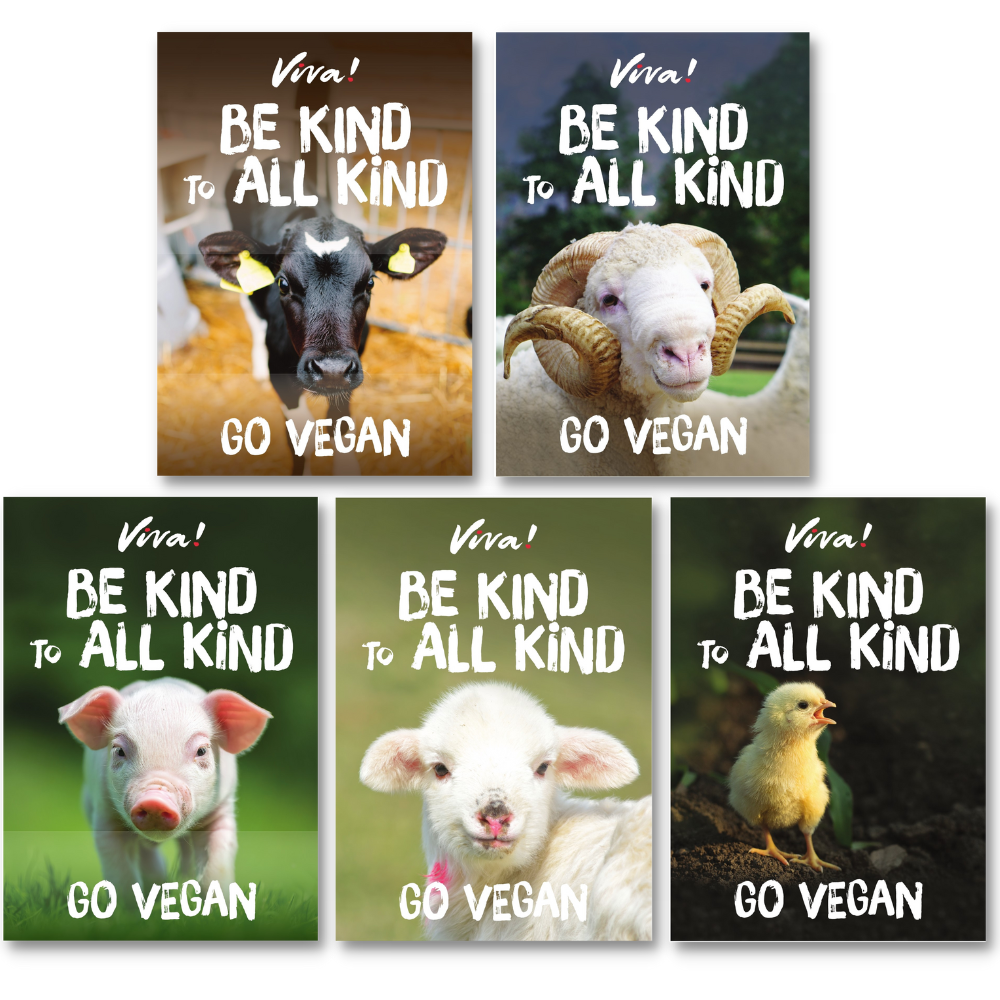 Viva! Be Kind to All Kind Poster Set of 5 Viva! Shop