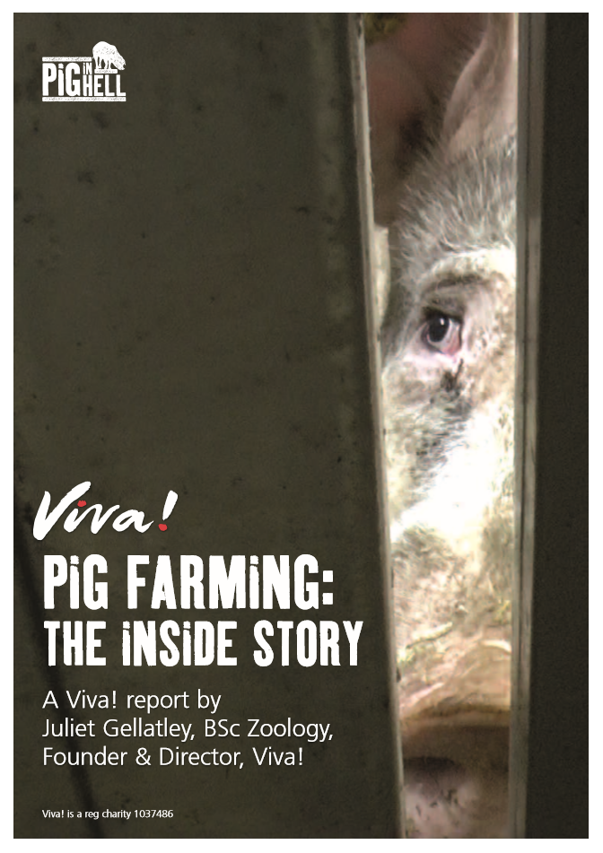 Pig Farming Report Viva! Shop