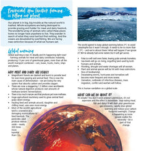 Viva! Planet Leaflets x 30 Viva! Shop