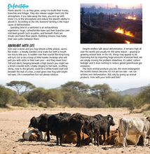Viva! Planet Leaflets x 30 Viva! Shop
