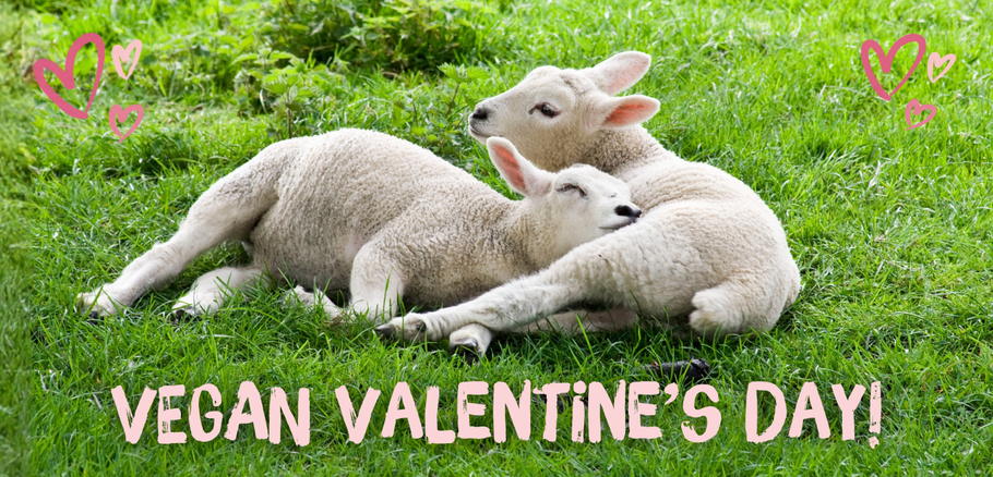 Spread The Love With A Vegan Valentine 💘🌱