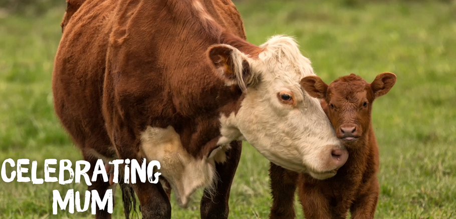 Celebrating Mothers and Standing with Them