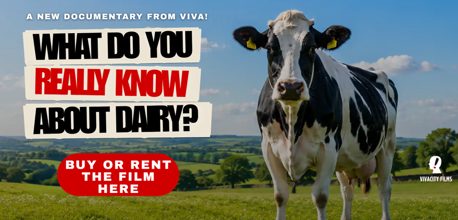 What Do You Really Know About Dairy? - A New Documentary From Viva!