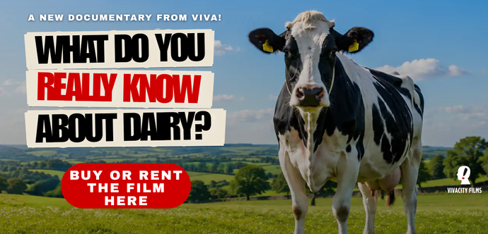What Do You Really Know About Dairy? - A New Documentary From Viva!