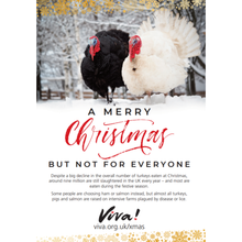 A Very Merry Christmas But Not For Everyone Leaflets x50