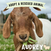 A close-up photo of a brown goat with long ears eating green leaves, with a white banner reading 'ADOPT A RESCUED ANIMAL' at the top and the name 'AUDREY' with a small goat icon at the bottom.