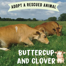 A grassy outdoor scene with two brown cows lying in a field under a blue sky. A cream banner at the top reads “ADOPT A RESCUED ANIMAL,” and large white text at the bottom reads “BUTTERCUP AND CLOVER” beside a small cartoon cow illustration.
