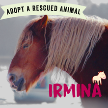 Adopt Irmina the Horse