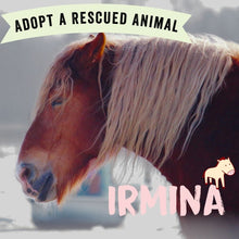 Adopt Irmina the Horse