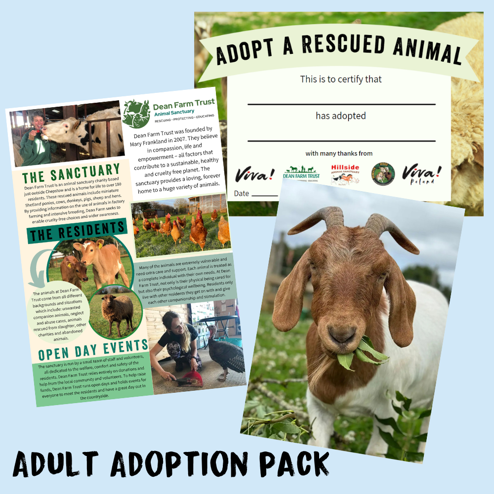 Adopt Audrey the Goat
