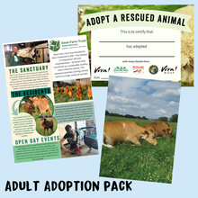 Adopt Buttercup and Clover the Cows