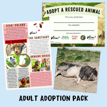 Adopt Lukrecja the Pig