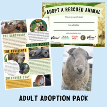Adopt Odin the Sheep