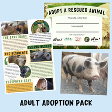 Adopt Oreo the Pig