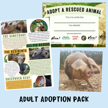 Adopt Spottie the Pig