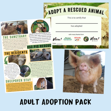 Adopt Squidgy the Pig