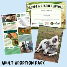 Adult Adoption Pack - Taco the Donkey