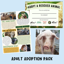 Adopt Viva the Pig