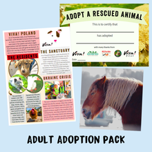 Adopt Irmina the Horse