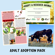 Adopt Krufi the Cow